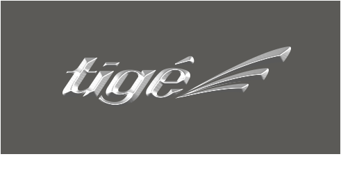 tige ウェイクサーフィンに最適な波を体感